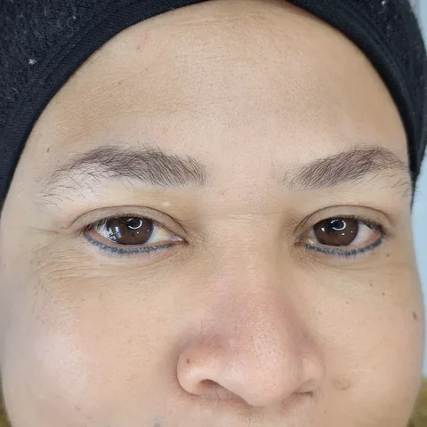 Sobrancelha antes da micropigmentação